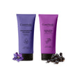 Radiance Duo – Jamun Glow, Retinol & Bakuchi Face Wash (Set of 2)