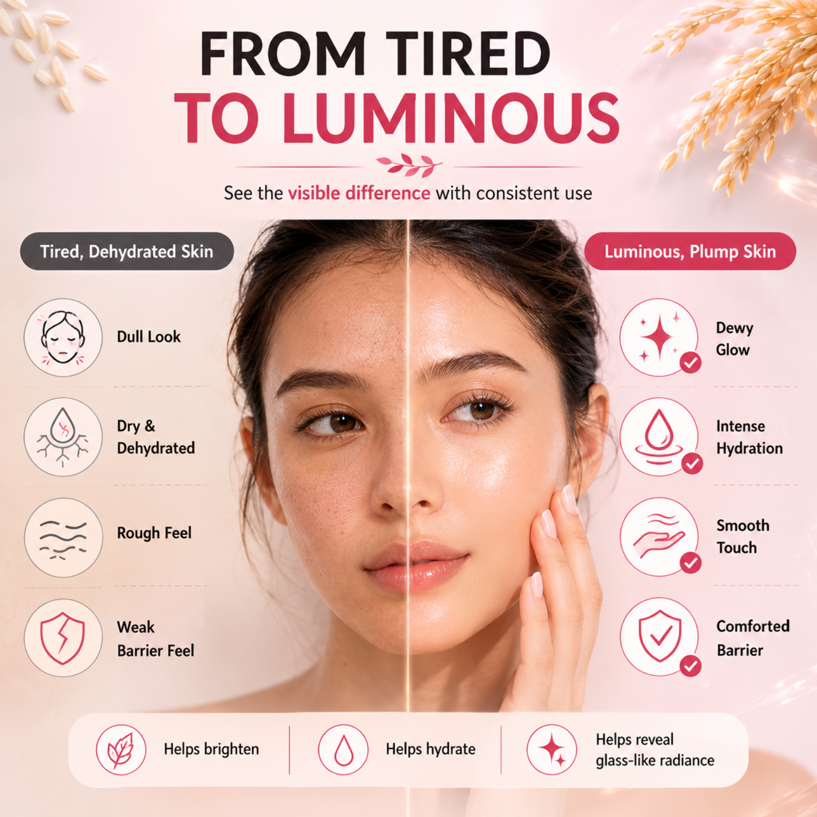 Careveda Rice Ceramide Brightening Face Cream for Luminous Glass Skin - 50gm | Deep Hydration & Moisture Barrier Repair