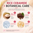 Careveda Rice Ceramide Brightening Face Cream for Luminous Glass Skin - 50gm | Deep Hydration & Moisture Barrier Repair