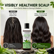 Careveda Aloe Vera Neem Tulsi Shampoo with Activated Charcoal & Grapes - Anti Hair Fall (100ml)