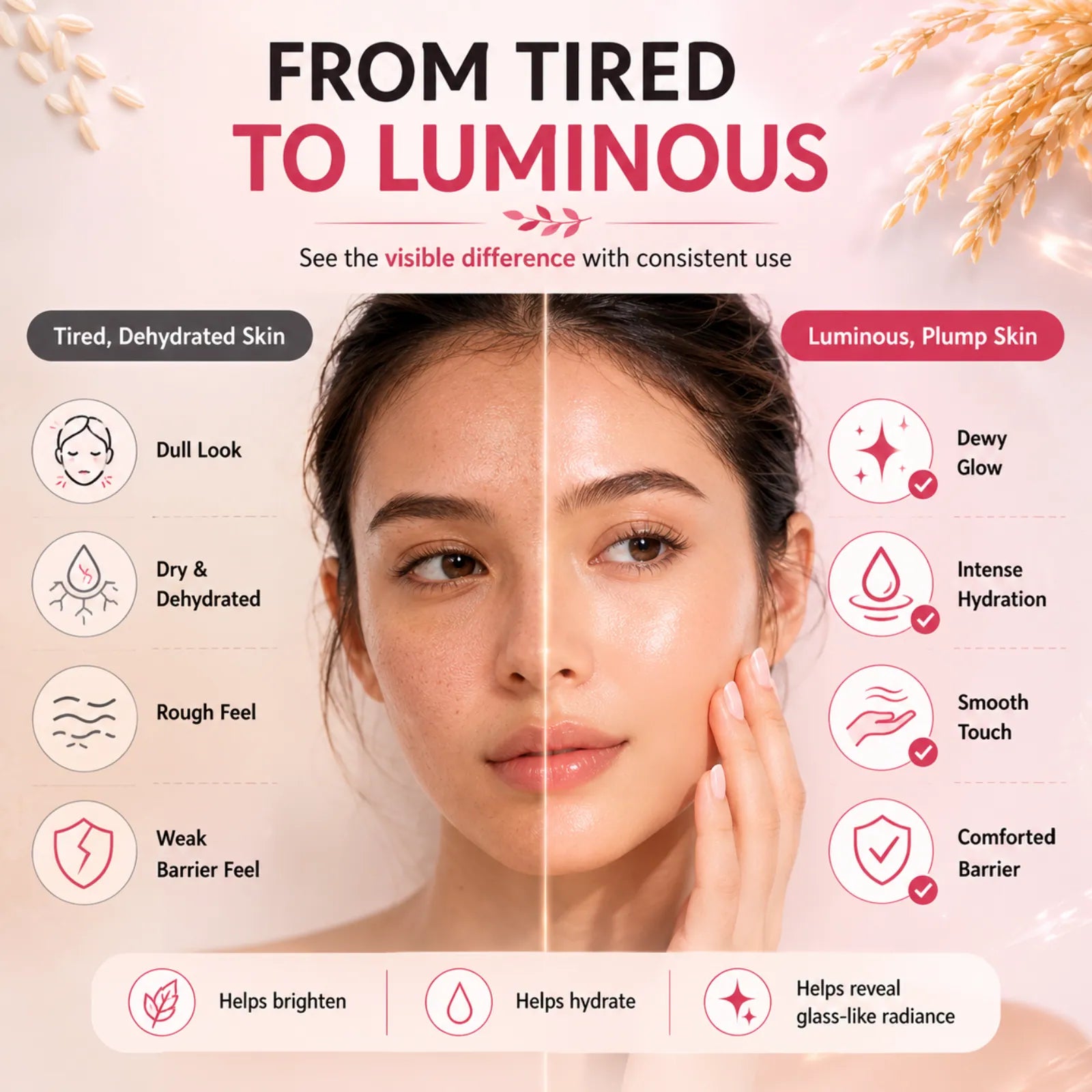 Careveda Rice Ceramide Revival Face Cream for Luminous Glass Skin - 50gm