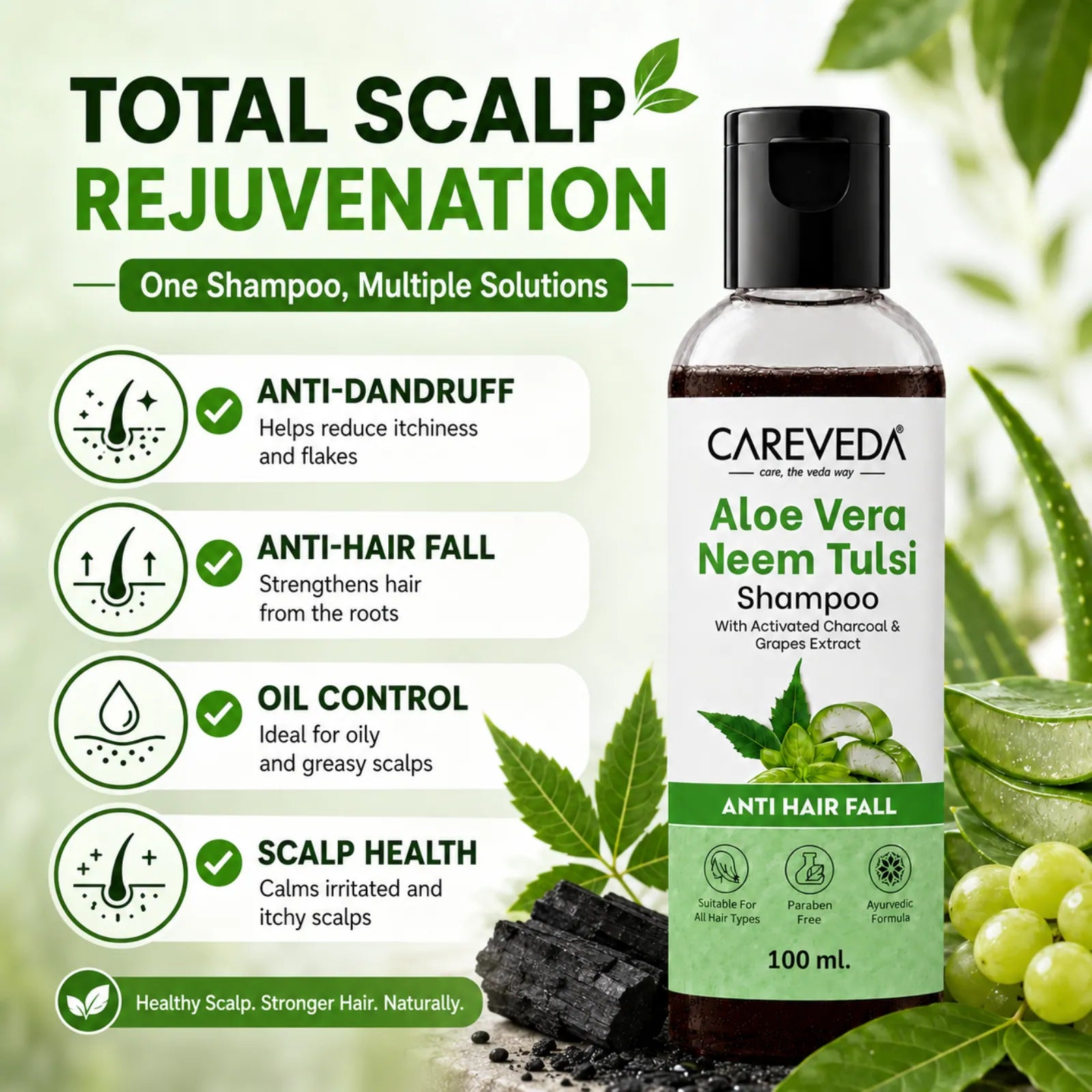 Careveda Aloe Vera Neem Tulsi Shampoo with Activated Charcoal & Grapes - Anti Hair Fall (100ml)