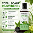 Careveda Aloe Vera Neem Tulsi Shampoo with Activated Charcoal & Grapes - Anti Hair Fall (100ml)